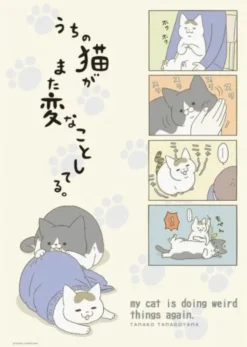 A4 Folder: Cat Massage