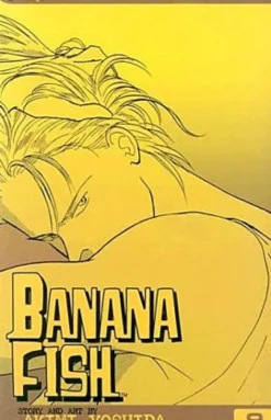 Banana Fish Vol 9