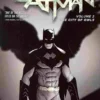 Batman Vol 2: City of Owls