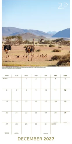 BBC Earth 2027 Official Wall Calendar