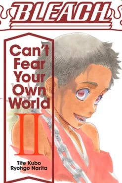 Bleach Can't Fear Your Own World Novel 2