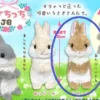 Bunny Plush Big: Curious Rate