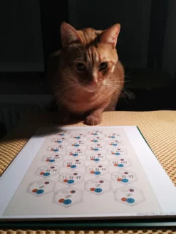 Calico Board Game