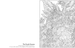 Dark Fairies - A Cursed Colouring Experience