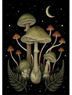Death Cap Postcard Print A6