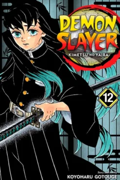 Demon Slayer Kimetsu no Yaiba Vol 12