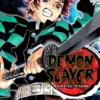 Demon Slayer Kimetsu no Yaiba Vol 10