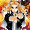 Demon Slayer Kimetsu no Yaiba Vol 8