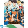 (D6) Poster Maxi Haikyu!! Key Art Season 1
