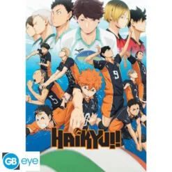(D6) Poster Maxi Haikyu!! Key Art Season 1