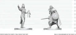 Drow Elite Warrior & Drow Priestess