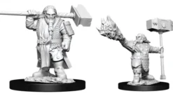 Dwarf Male Cleric (2020)