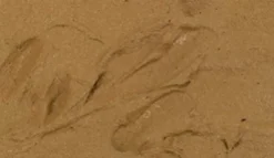 Earth Texture: Brown Earth