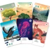 Ecosfera: Expansion