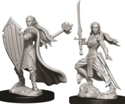 Elf Female Paladin