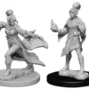 Elf Female Sorcerer