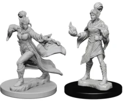 Elf Female Sorcerer