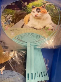 Fan Myau Neko Turqoise
