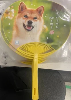 Fan Shiba Inu Maido! Yellow