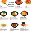 Food Miniature Figure and Magnet