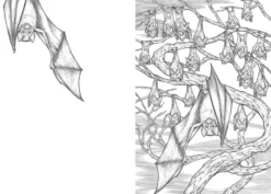 Gothic Colouring Book - Embrace the Darkness