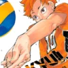 Haikyu Vol 33
