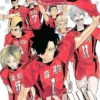 Haikyu Vol 34