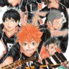 Haikyu Vol 12