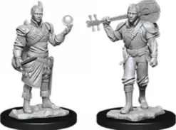 Half-Elf Male Bard (2020)