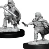 Halfling Male Rogue (W13)