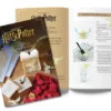 Harry Potter: Make Your Own Chocolate Owls Silicone Chocolate Mold and Gift Set