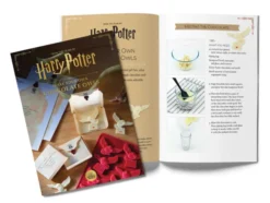 Harry Potter: Make Your Own Chocolate Owls Silicone Chocolate Mold and Gift Set