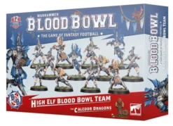 High Elf Blood Bowl Team