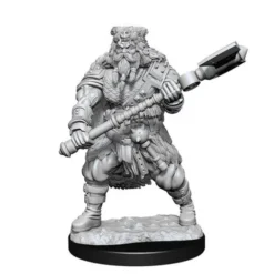 Human Barbarian Male