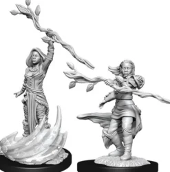 Human Druid Female