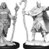 Human Druid Male