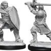 Human Paladin Male