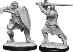 Human Paladin Male