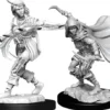 Human Rogue Female
