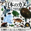 Japanese Turtle Special Edition Capsule
