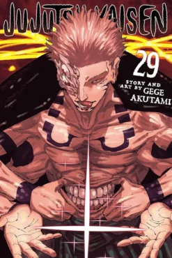 Jujutsu Kaisen Vol 29