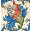Kattblomma Enkelt Vykort