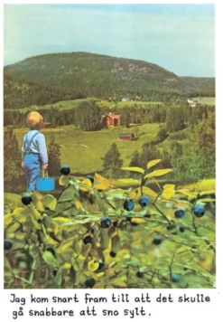 Magnet Jan Stenmark Blåbär