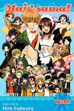 Maid Sama 2-in-1 Vol 9