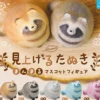 Miageru Tanuki Manmaru Mascot Figure
