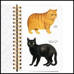 Moody Cats Sticker Book
