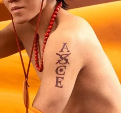 One Piece Tattoos - Ace Symbols 15x10cm