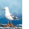 Print A4 - Seagull