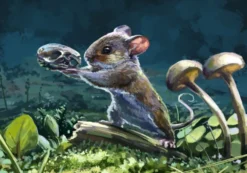 Print A4 - Thespian Rodent