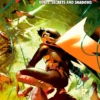 Robin Vol 3: Secrets and Shadows